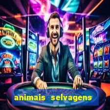 animais selvagens fotos e nomes